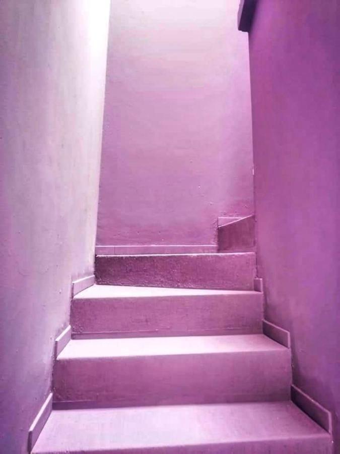 Casa Violeta Vandrarhem Tepic Exteriör bild